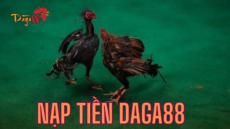 nap-tien-da-ga-88-4